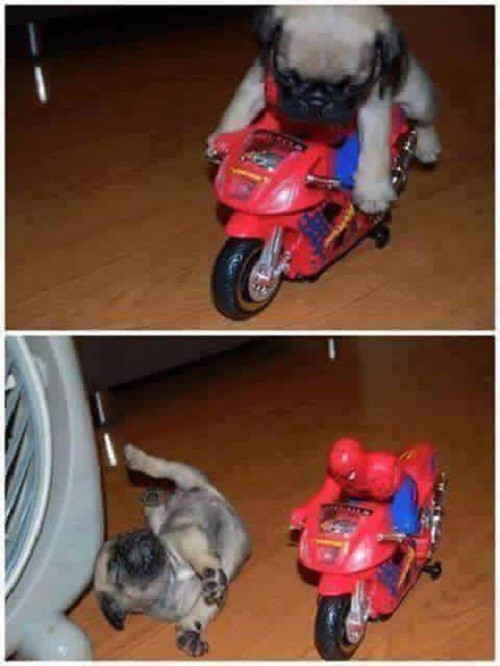 10 anh hai hot nhat facebook ngay qua