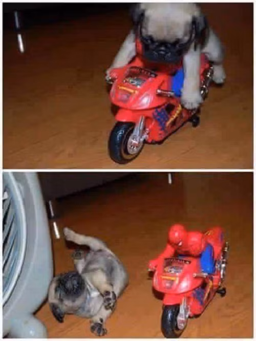 10 anh hai hot nhat facebook ngay qua