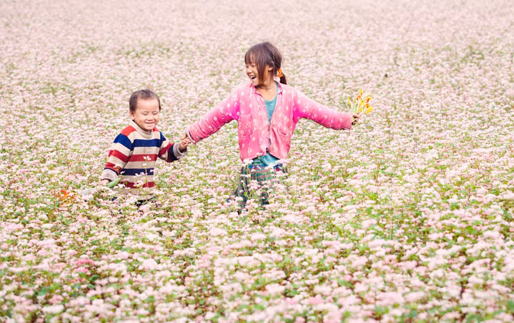 dac sac khai mac le hoi hoa tam giac mach