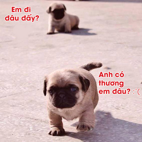 10 anh hai hot nhat facebook trong ngay