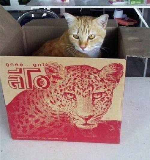 10 anh hai hot nhat facebook ngay qua