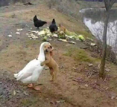 10 anh hai hot nhat facebook trong ngay