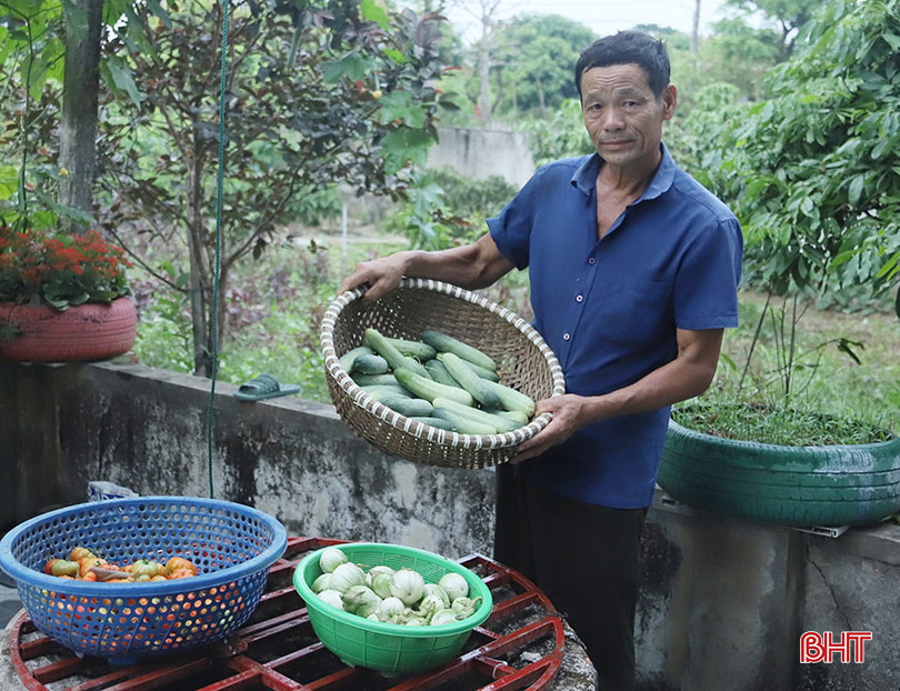 Các sản phẩm nông nghiệp sạch từ vườn mẫu cho thu nhập ổn định mỗi ngày. Ảnh 12.jpg