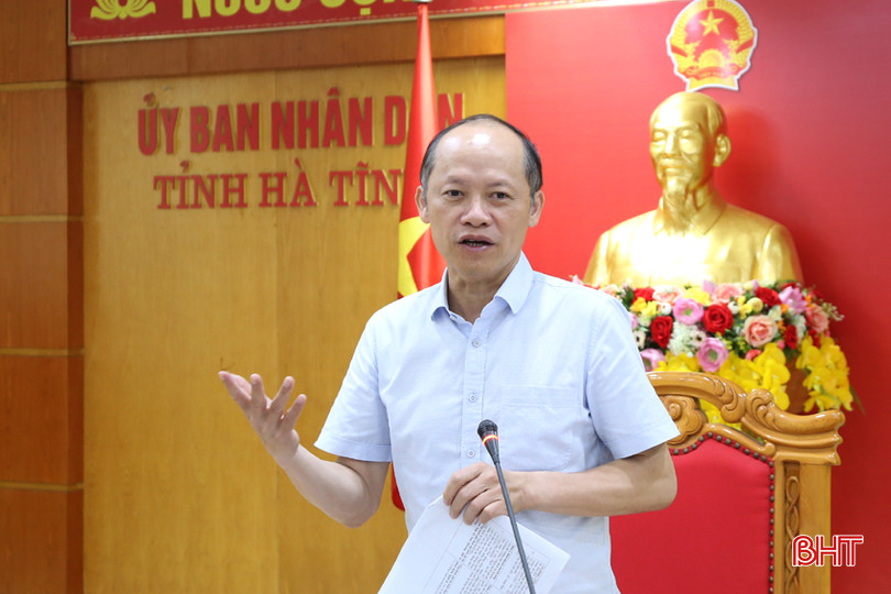 Phó Chủ tịch Thường trực UBND tỉnh Nguyễn Hồng Lĩnh kết luận cuộc họp. 8A.jpg