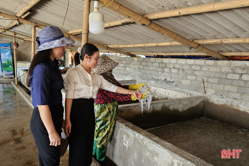 Mô hình chế biến sứa xuất khẩu của bà Trương Thị Nhị ở xã Kỳ Khang. phu nu 2A.jpg
