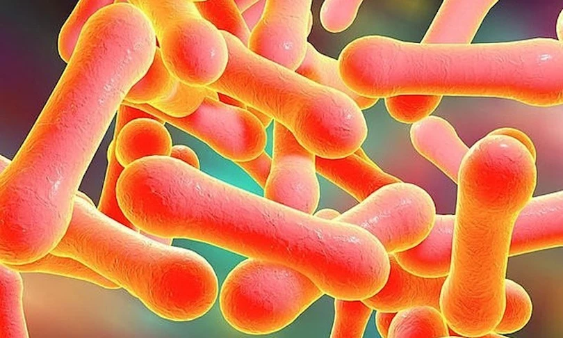 bach-hau-1-1702525893363717994578-2398_3f152AA