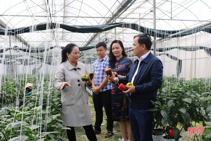 Công tác CCHC góp phần thúc đẩy việc thực hiện các nhiệm vụ chuyên môn của Sở KH&CN. So KHCN 6A.jpg