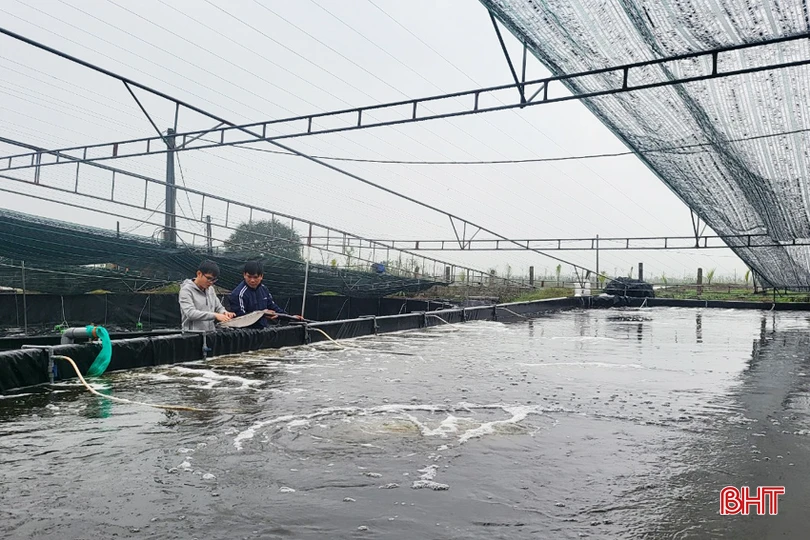 tom 3 giain don 4a.jpg