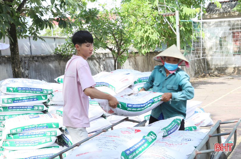 Thiết kế chưa có tên (1).png