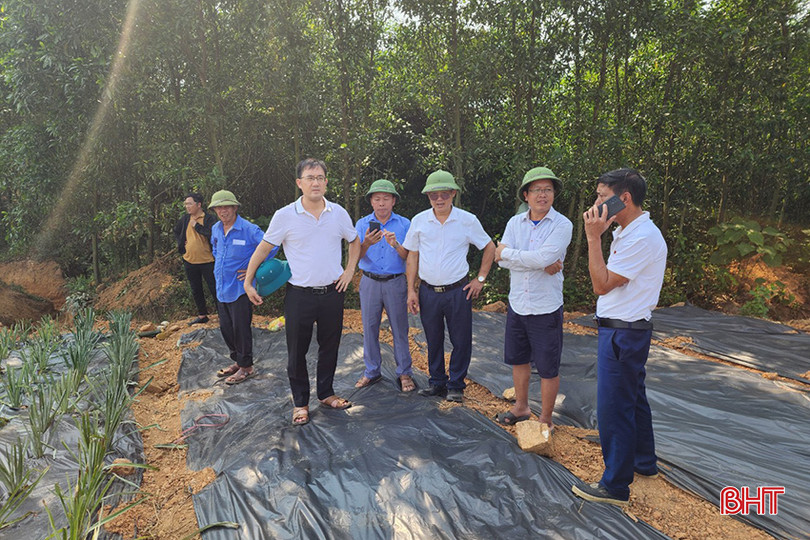 Lãnh đạo địa phương thường xuyên giám sát, đồng hành, hỗ trợ cùng các chủ thể sản xuất trên địa bàn. Y4.jpg