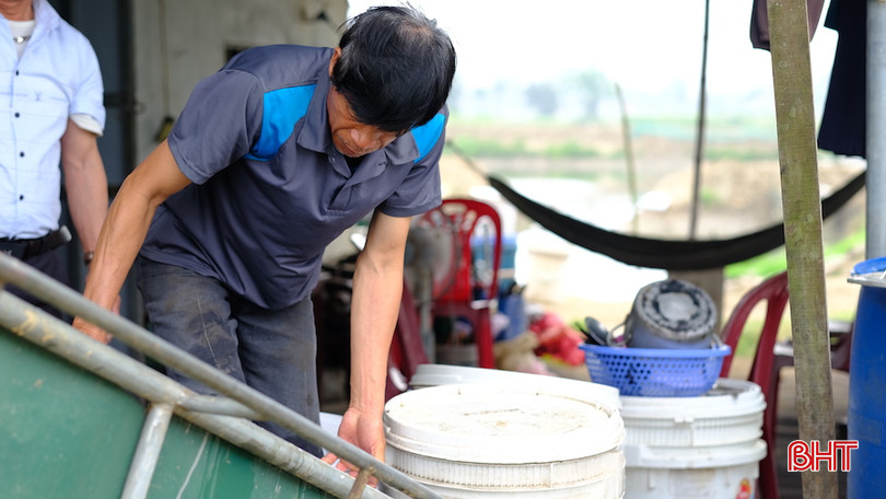Các hộ dân tại bãi Cồn Vạn (thôn 5, Cẩm Lĩnh) tập trung xử lý nguồn nước vì ốc hương chết hàng loạt. DSCF1996.JPG