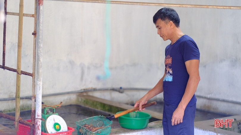Ông Đặng Văn Tình chuẩn bị nguồn hải sản tươi sống phục vụ du khách. DSCF1778.JPG