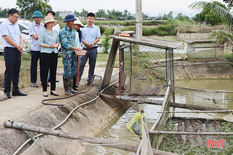 Trước đó, đoàn công tác đã đi khảo sát thực tế một số mô hình "Dân vận khéo" điển hình trên địa bàn huyện Cẩm Xuyên. Trong ảnh: Đoàn kiểm tra mô hình sản xuất nông nghiệp tuần hoàn của anh Trần Danh Giáp ở xã Cẩm Bình... 5319.jpg