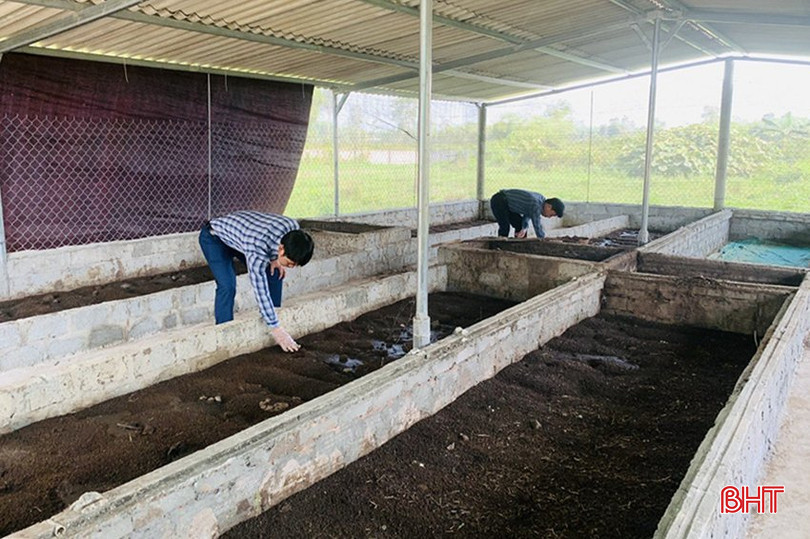 Huyện Cẩm Xuyên có 11 hộ dân tham gia nuôi giun quế với quy mô từ 50 – 100 m 2/hộ. 0000.jpg