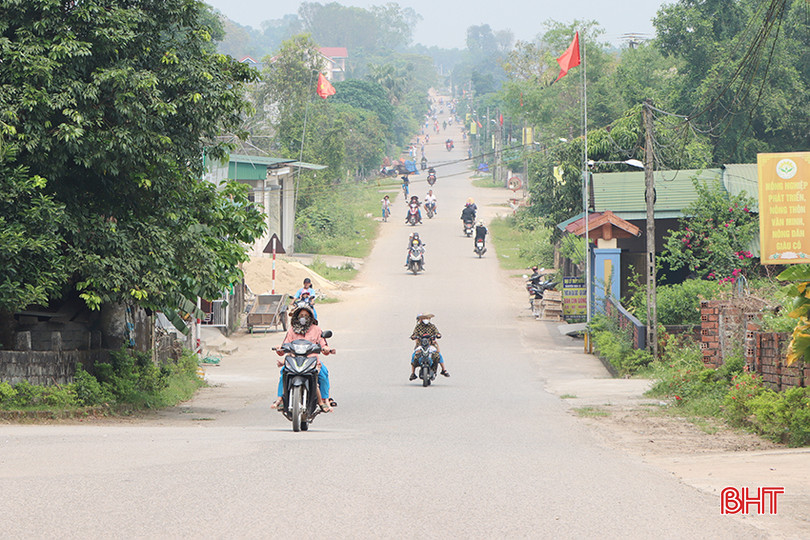 Sức sống trên vùng quê cách mạng xã Cẩm Hưng. 3.jpg