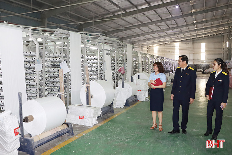 Cán bộ Cục Thuế Hà Tĩnh hỗ trợ doanh nghiệp tiếp cận các chính sách tài khóa của Chính phủ trong năm 2024. 0.jpg