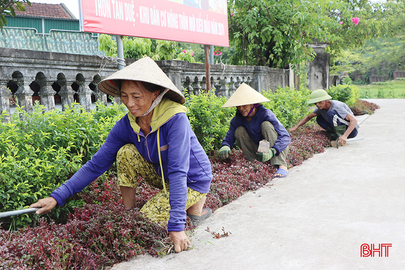 Người dân thôn Tân Duệ, xã Cẩm Duệ trồng thảm cỏ dọc các tuyến đường. 4.jpg