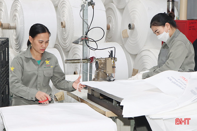 Công ty CP Sao Mai tăng tốc sản xuất hàng xuất khẩu. 4184.jpg
