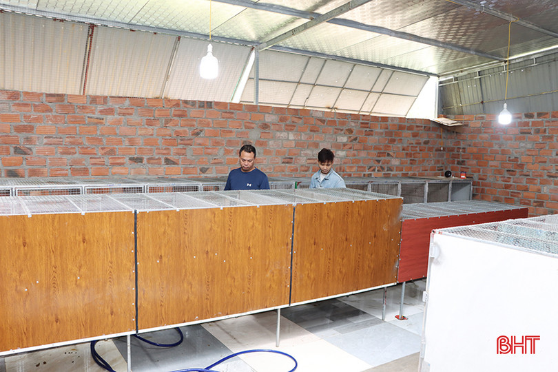 Nuôi chồn hương không tốn về diện tích và không gây ảnh hưởng môi trường. 4.jpg