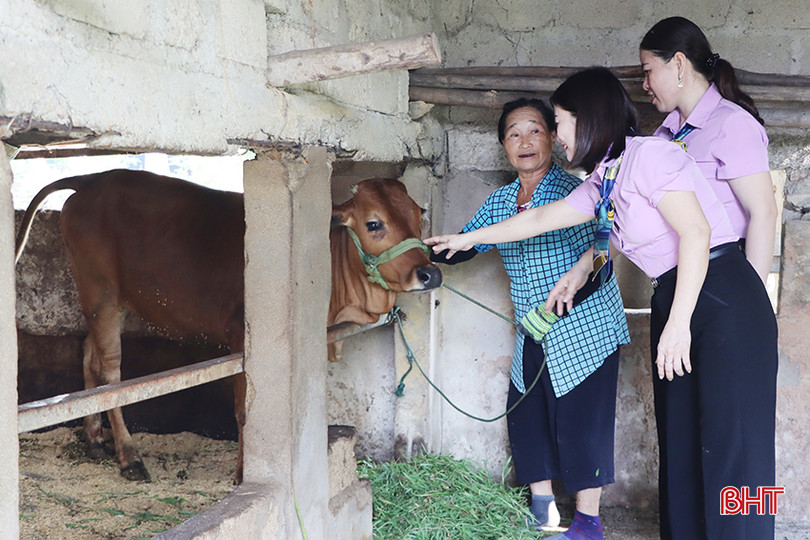Ủy ban MTTQ huyện Cẩm Xuyên hỗ trợ sinh kế cho bà Đậu Thị Hồng (thôn Mỹ Lâm, xã Cẩm Mỹ) để tăng gia sản xuất. 2.jpg