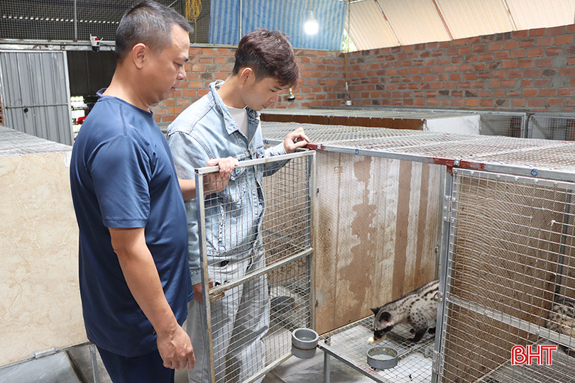 Anh Hoàng Văn Vũ (bên trái) khởi nghiệp thành công với mô hình nuôi chồn hương sinh sản. 3.jpg