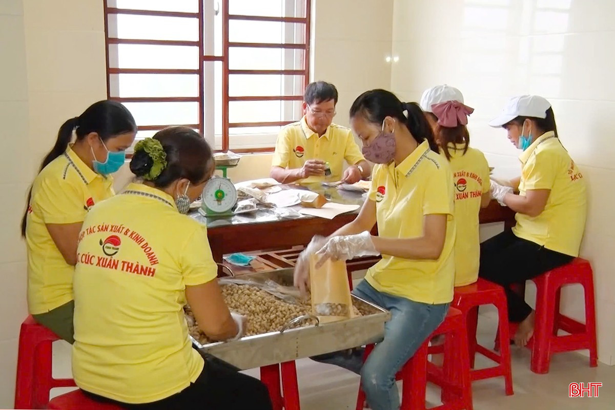 Nhiều sản phẩm OCOP của Xuân Thành có mặt rộng rãi trên thị trường và được bày bán trên sàn thương mại điện tử.