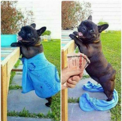 10 anh hai hot nhat facebook trong ngay