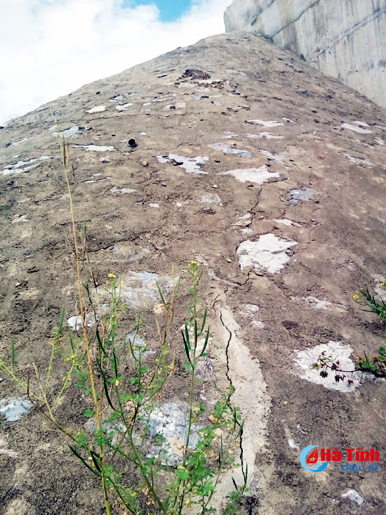 mo cau hoi trung vu quang sat lo nghiem trong