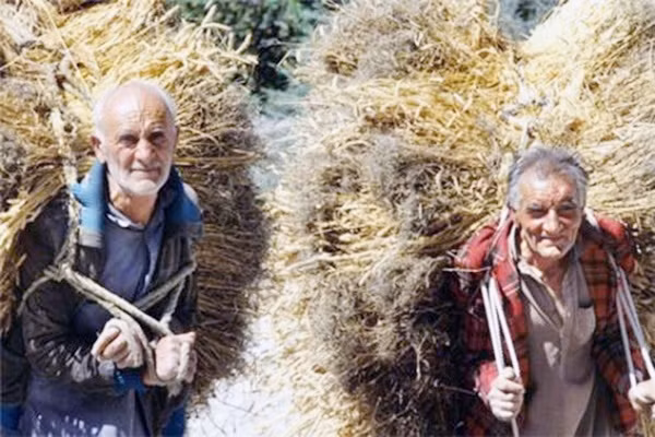 bi kip song tho dang kinh ngac cua nhung bo toc co tuoi trung binh tren duoi 100 tren the gioi