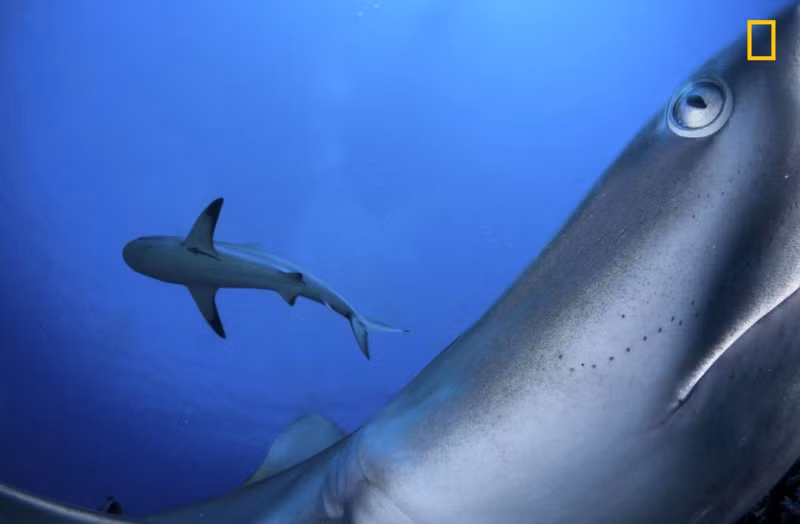 ngam nhung tac pham thang giai nhiep anh du lich nam 2017 cua national geographic