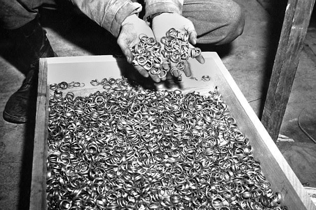 tim thay kho bau 15 000 ti cua phat xit duc trong rung