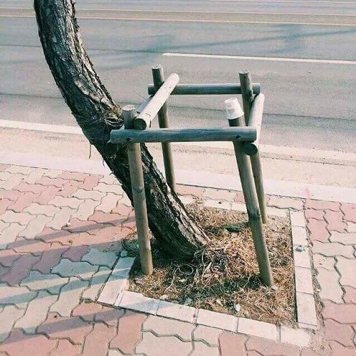 10 anh hai hot nhat facebook trong ngay