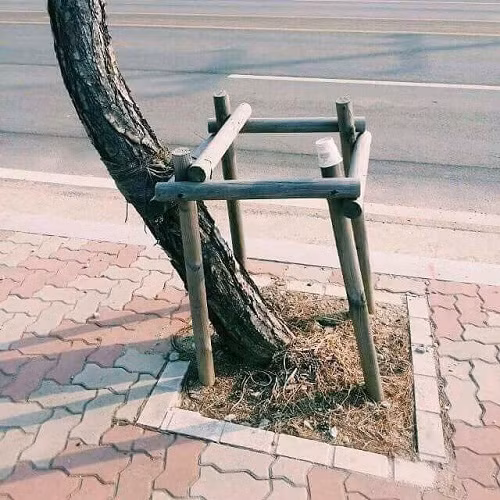 10 anh hai hot nhat facebook trong ngay