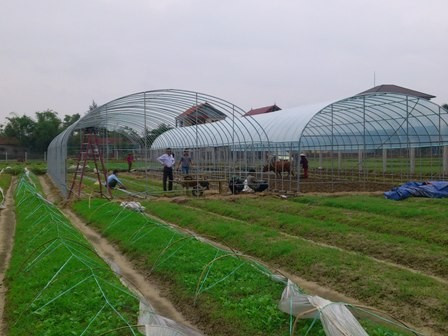 Được sự hỗ trợ của chính quyền các cấp, các hộ nông dân trên địa bàn thành phố Hà Tĩnh mạnh dạn áp dụng các tiến bộ khoa học kỹ thuật vào sản xuất Được sự hỗ trợ của chính quyền các cấp, các hộ nông dân trên địa bàn thành phố Hà Tĩnh mạnh dạn áp dụng các tiến bộ khoa học kỹ thuật vào sản xuất