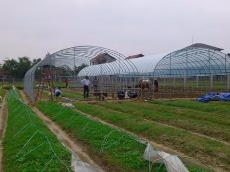 Được sự hỗ trợ của chính quyền các cấp, các hộ nông dân trên địa bàn thành phố Hà Tĩnh mạnh dạn áp dụng các tiến bộ khoa học kỹ thuật vào sản xuất