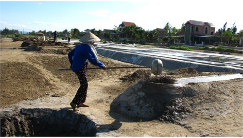 Giá muối tăng khá trong năm 2012, phần nào đã bù đắp được nỗi vất vả của bà con diêm dân