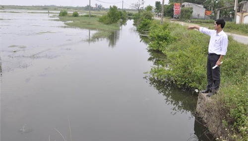 Tuyến kênh chính dẫn nước vào đồng muối ở xã Hộ Độ lâu nay vẫn được dùng chung với tuyến kênh xã nước thải sinh hoạt của xã
