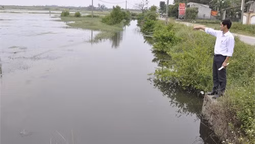 Tuyến kênh chính dẫn nước vào đồng muối ở xã Hộ Độ lâu nay vẫn được dùng chung với tuyến kênh xã nước thải sinh hoạt của xã