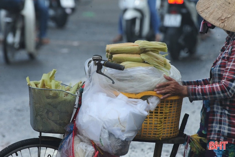Gánh hàng rong "chở" những mưu sinh nhọc nhằn, nhưng cũng chứa đựng biết bao hy vọng, lạc quan... bqbht_br_z.jpg