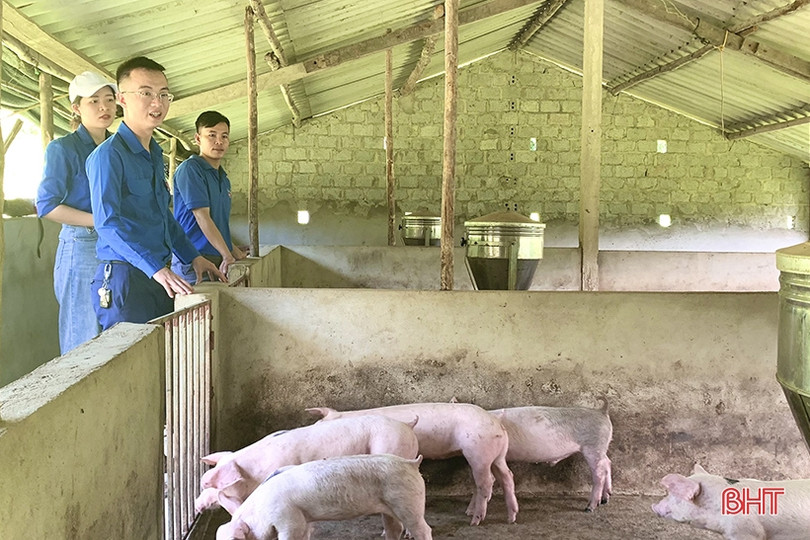 Ra mắt mô hình kinh tế thanh niên 400 triệu đồng ở Vũ Quang