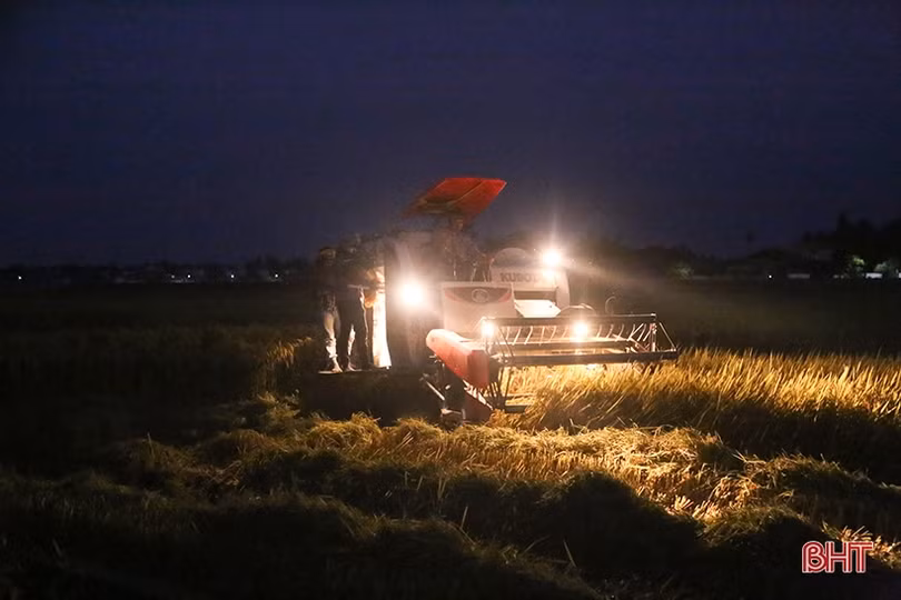 Nông dân Hà Tĩnh tốc lực thu hoạch lúa xuân