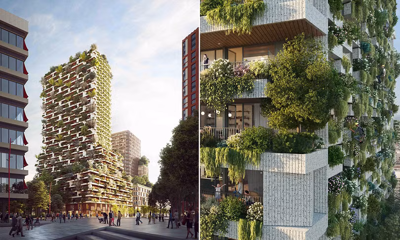 Tòa nhà phủ cây xanh tương đương 10.000 m<sup>2</sup> rừng