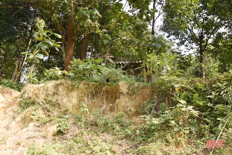 Bất an với tình trạng sạt lở nghiêm trọng ở sông Rào Tre