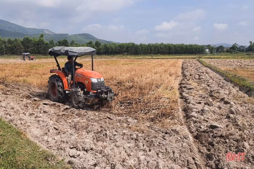 Huyện Kỳ Anh gấp rút triển khai sản xuất vụ hè thu