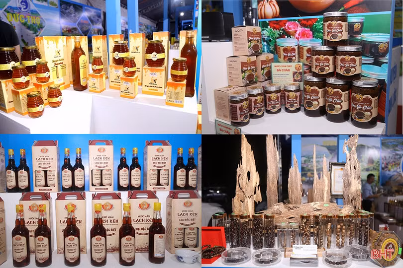 Hà Tĩnh giới thiệu các sản phẩm chủ lực tại hội nghị công bố Quy hoạch tỉnh và xúc tiến đầu tư