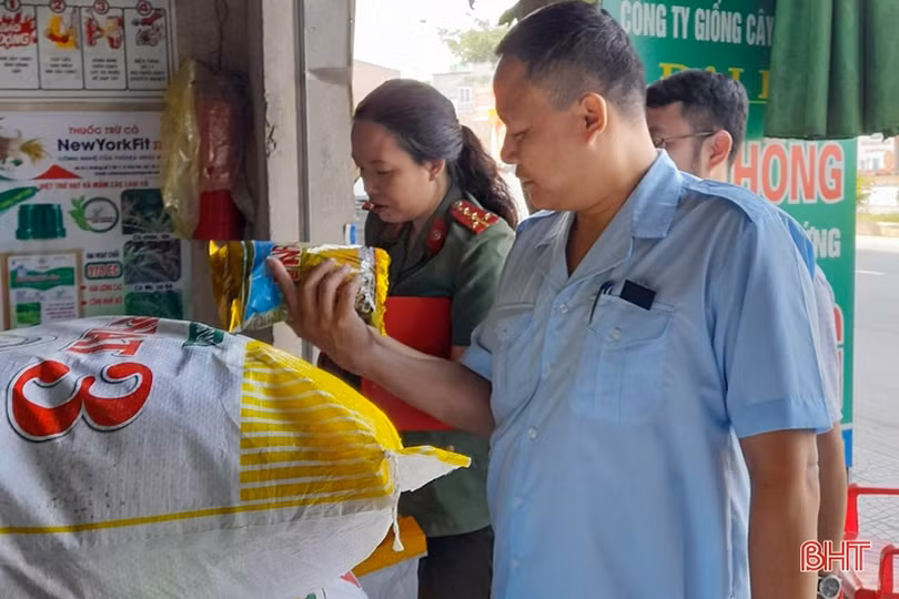 Hà Tĩnh cung ứng nguồn giống lúa chất lượng cho vụ hè thu