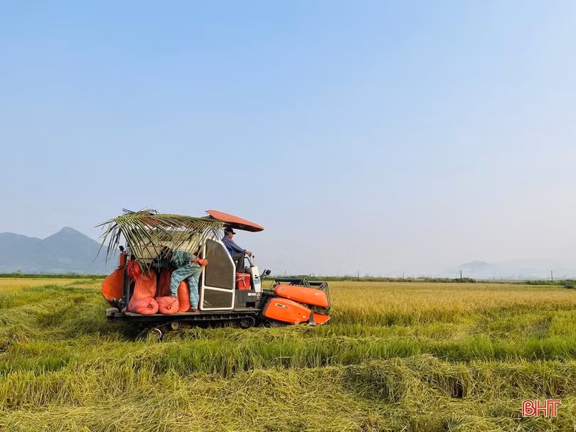 Huyện Kỳ Anh gấp rút triển khai sản xuất vụ hè thu