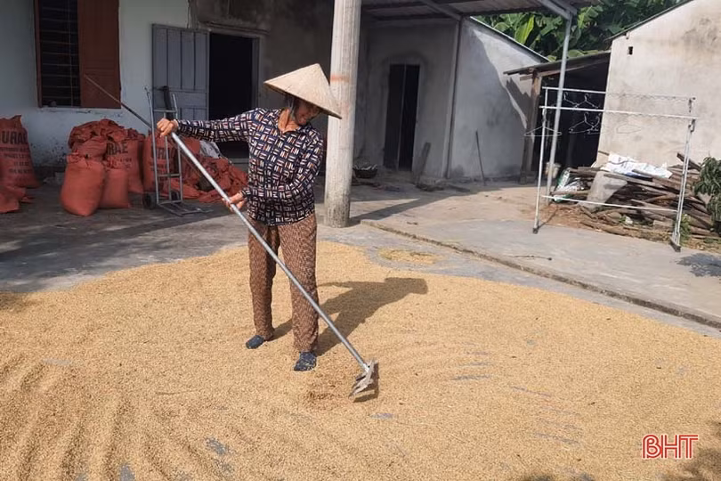 Huyện Kỳ Anh gấp rút triển khai sản xuất vụ hè thu