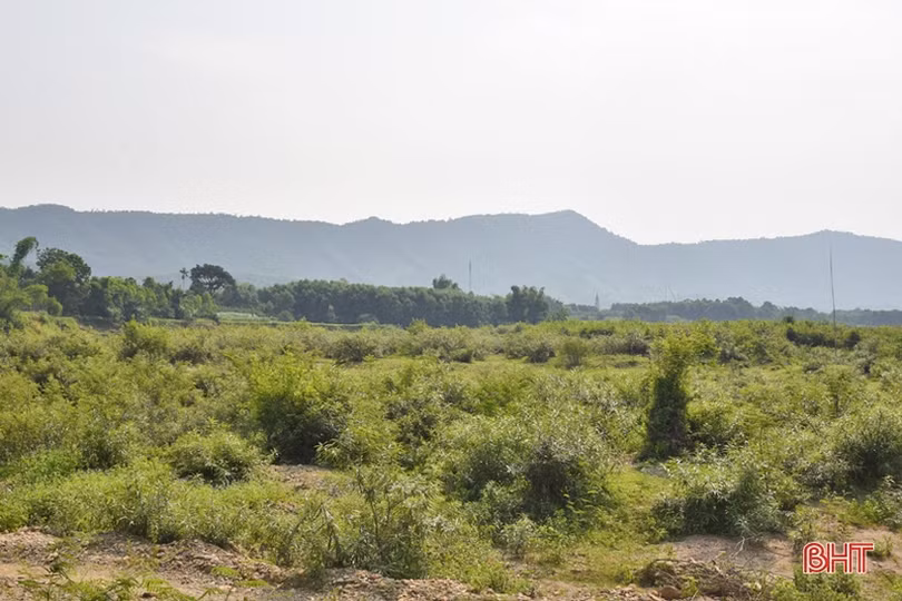 Bất an với tình trạng sạt lở nghiêm trọng ở sông Rào Tre