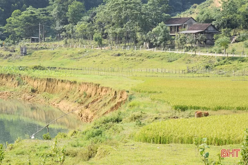 Bất an với tình trạng sạt lở nghiêm trọng ở sông Rào Tre
